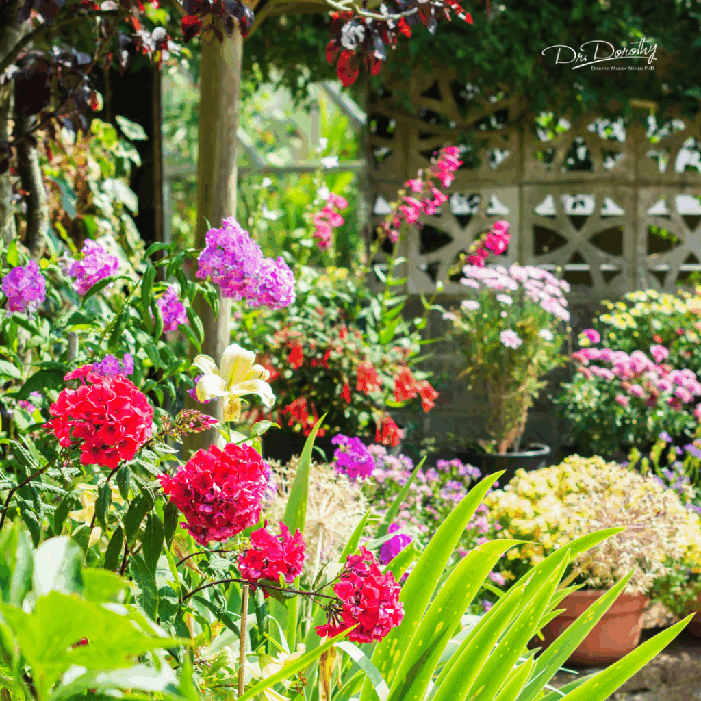 Serene Backyard Garden