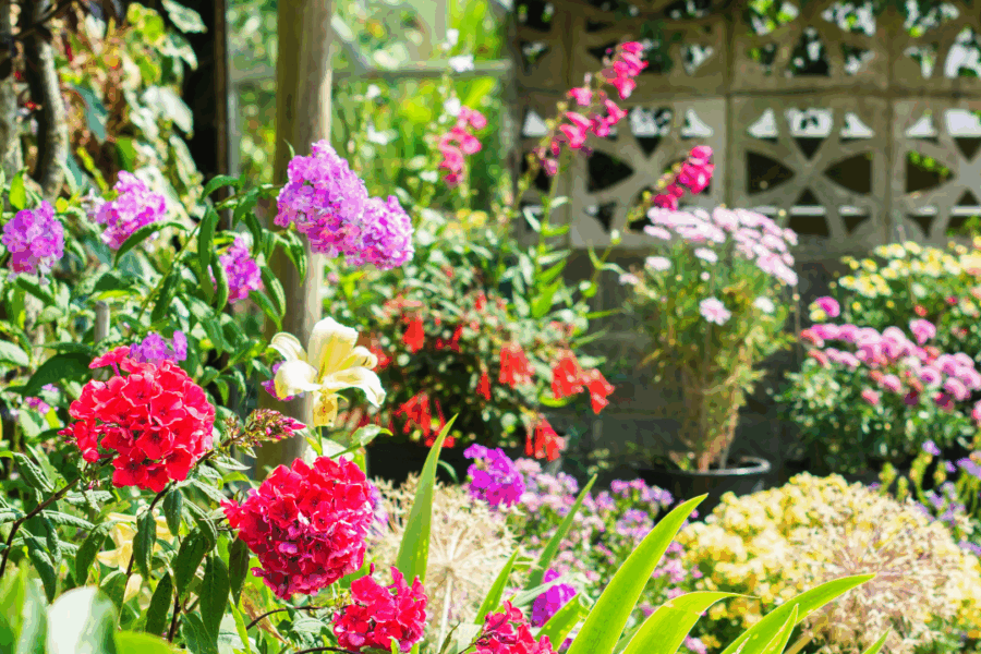 Serene Backyard Garden