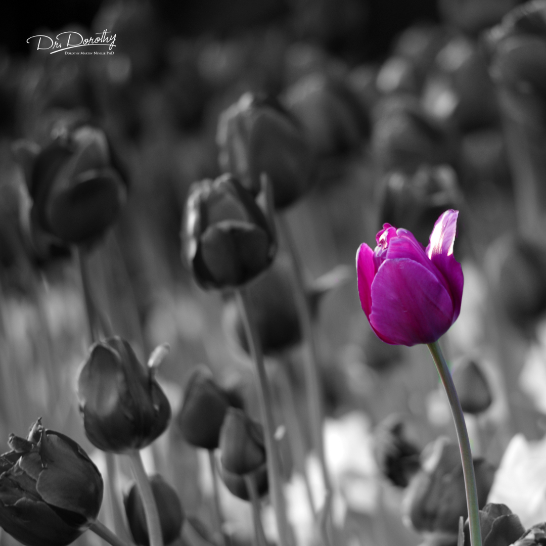 When Success Costs Too Much